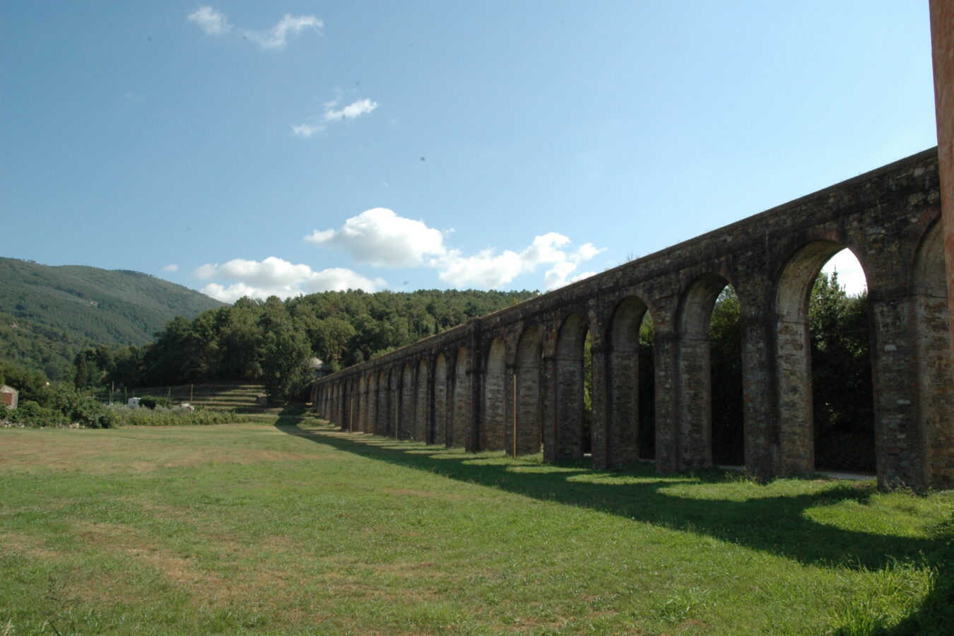L'Arno.it