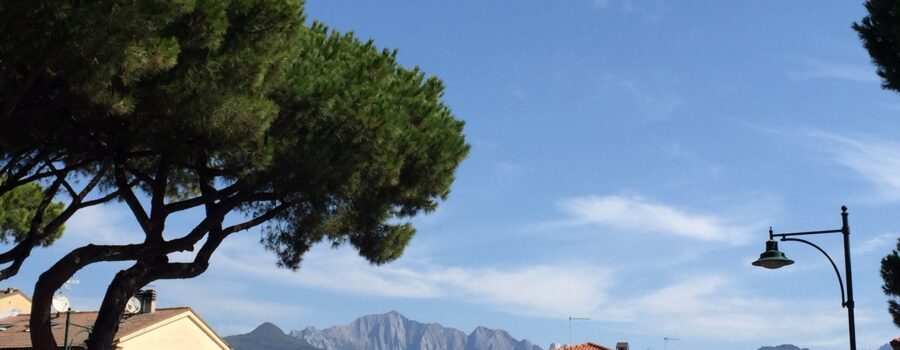 L'Arno.it