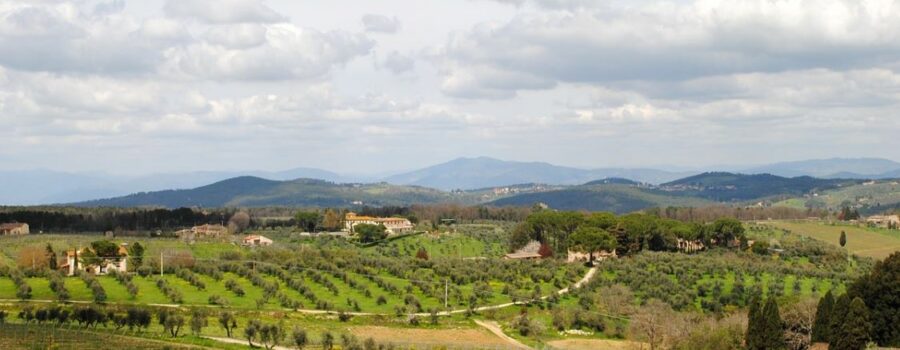 L'Arno.it