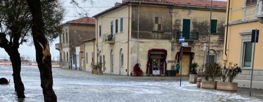 L'Arno.it