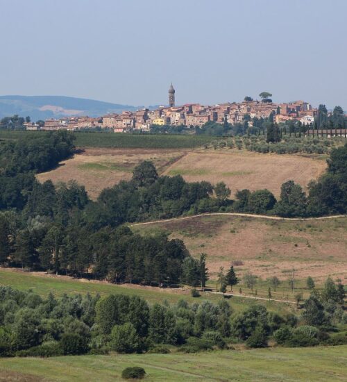 L'Arno.it