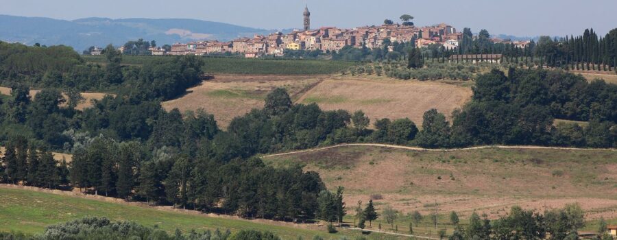 L'Arno.it
