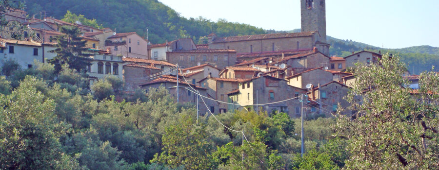 L'Arno.it