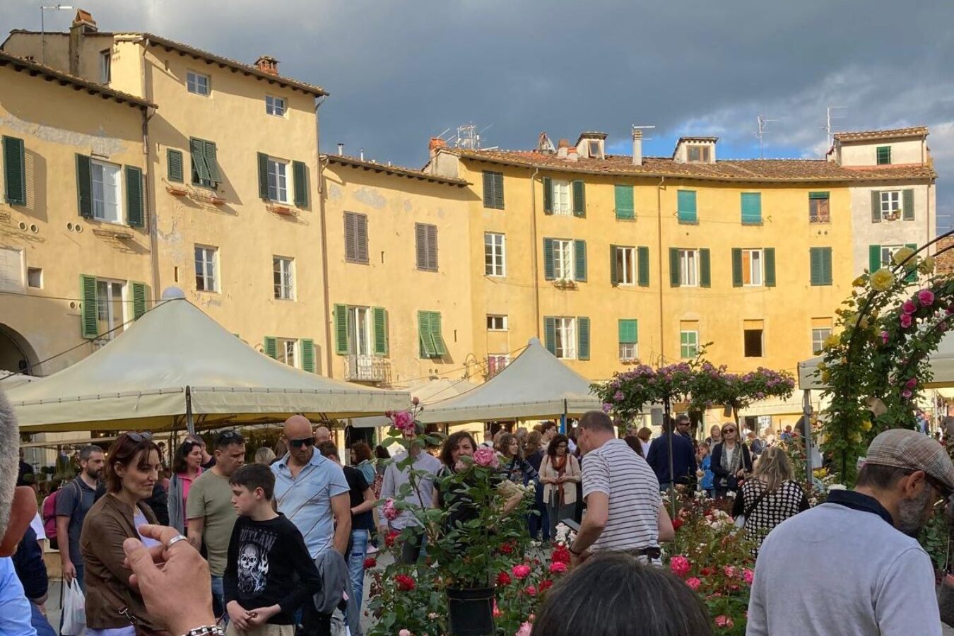 L'Arno.it