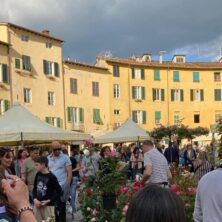 L'Arno.it