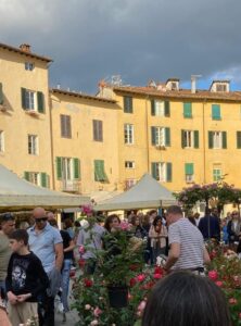 L'Arno.it