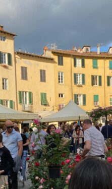 L'Arno.it