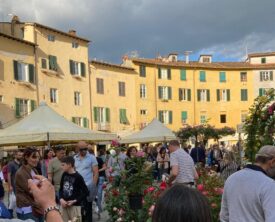 L'Arno.it